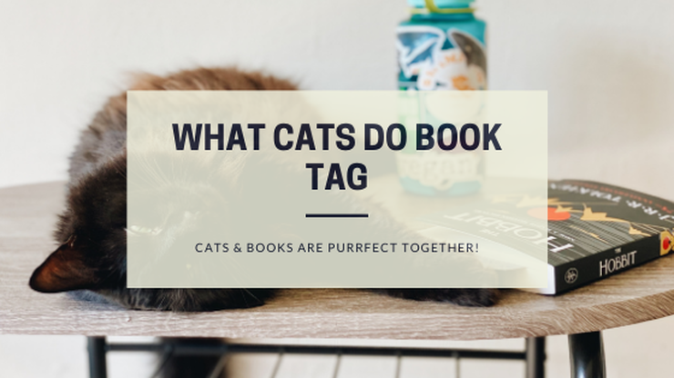 What Cats Do Book Tag